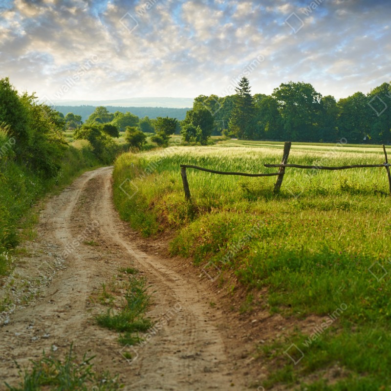 Repositionierbarer Aufkleber sonniger landweg durch grüne wiesen – Wallnifity® Repositionierbarer Aufkleber sonniger landweg durch grüne wiesen – Wallnifity®