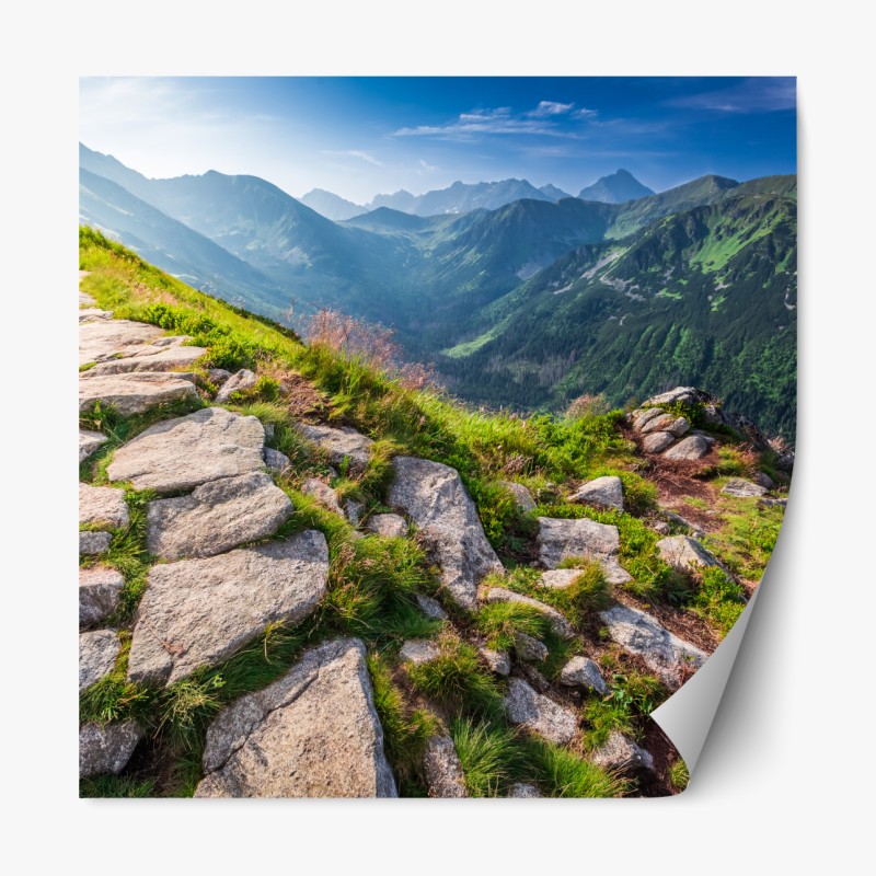 Repositionierbarer Aufkleber sonnige bergwiese bei sonnenaufgang – Wallnifity®