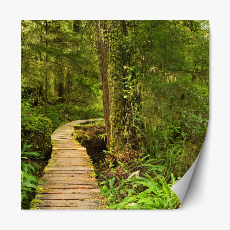 Repositionierbarer Aufkleber nebliger bergwald im dunst – Wallnifity®