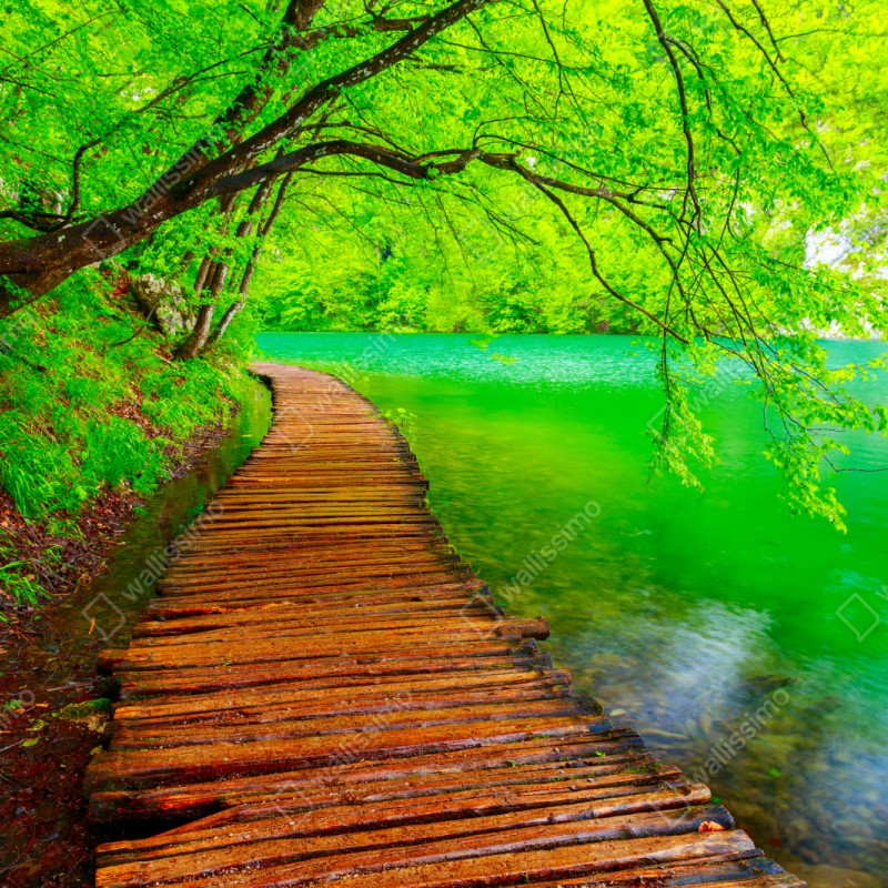 Repositionierbarer Aufkleber ruhiger grüner steg am see – Wallnifity® Repositionierbarer Aufkleber ruhiger grüner steg am see – Wallnifity®