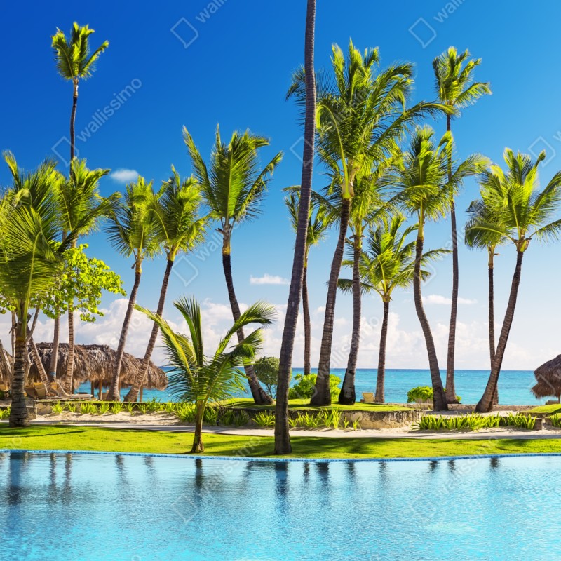 Repositionierbarer Aufkleber tropisches strandparadies in Punta Cana – Wallnifity® Repositionierbarer Aufkleber tropisches strandparadies in Punta Cana – Wallnifity®