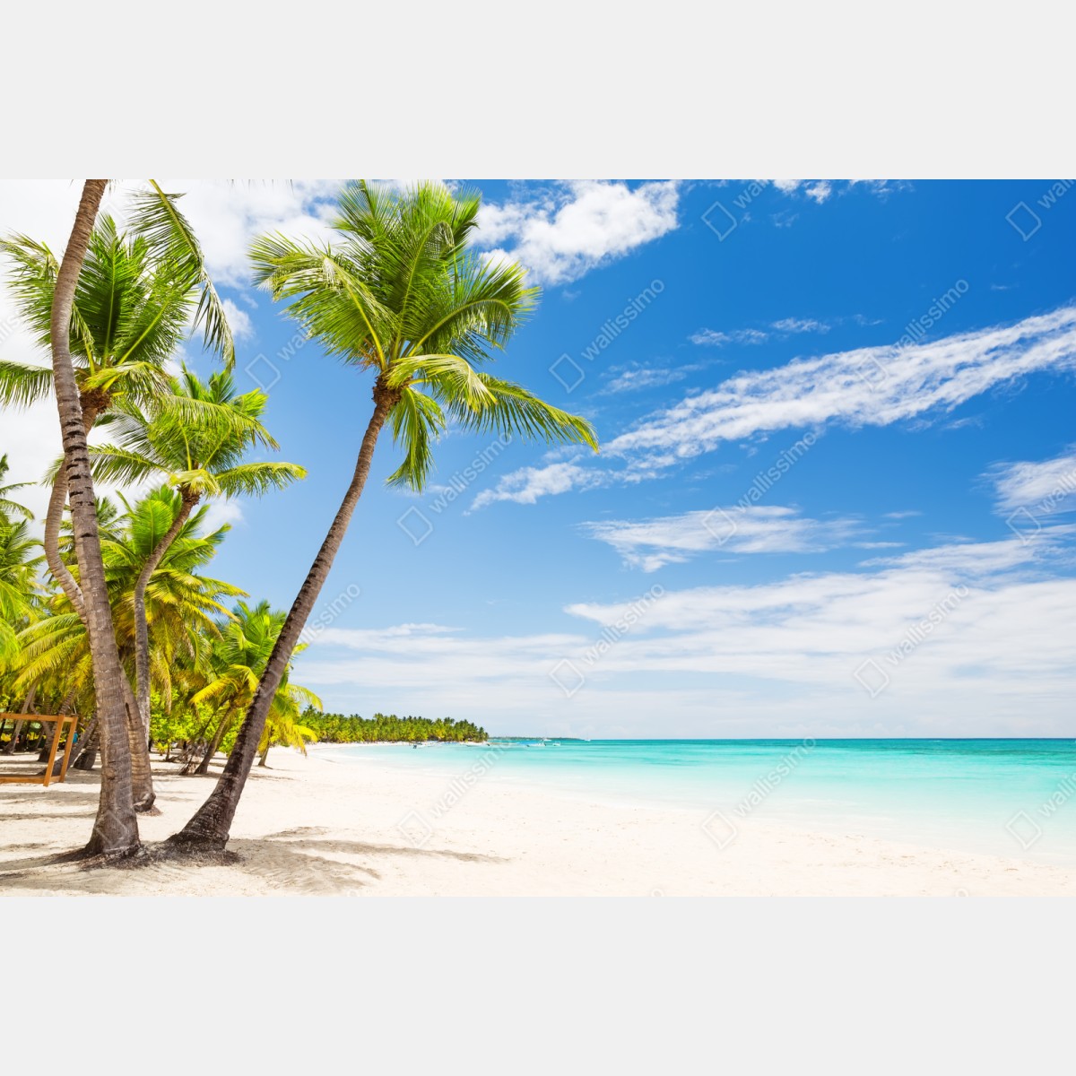 Repositionierbarer Aufkleber palmenstrand in Punta Cana – Wallnifity® Repositionierbarer Aufkleber palmenstrand in Punta Cana – Wallnifity®
