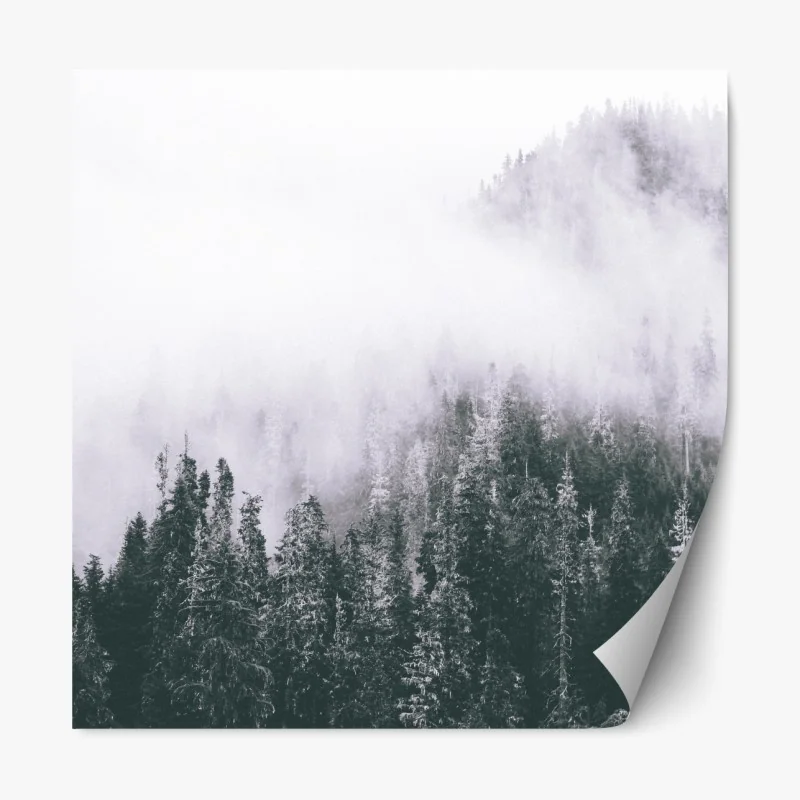 Repositionierbarer Aufkleber nebliger immergrüner wald