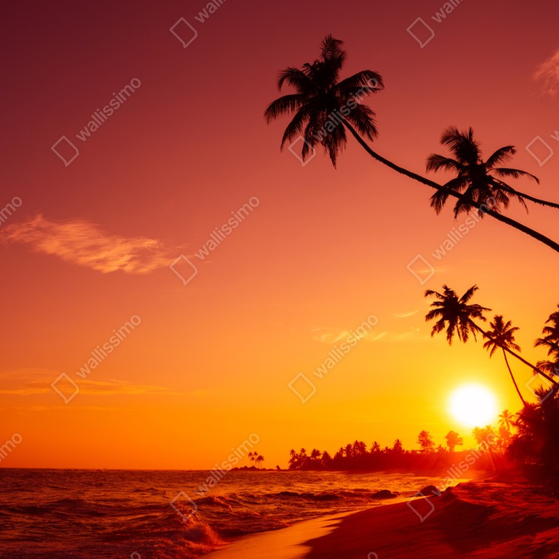 Repositionierbarer Aufkleber tropischer sonnenuntergang am strand – Wallnifity® Repositionierbarer Aufkleber tropischer sonnenuntergang am strand – Wallnifity®