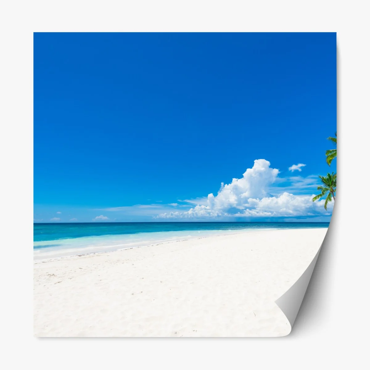 Repositionierbarer Aufkleber tropischer strand mit palmen – Wallnifity® Repositionierbarer Aufkleber tropischer strand mit palmen – Wallnifity®