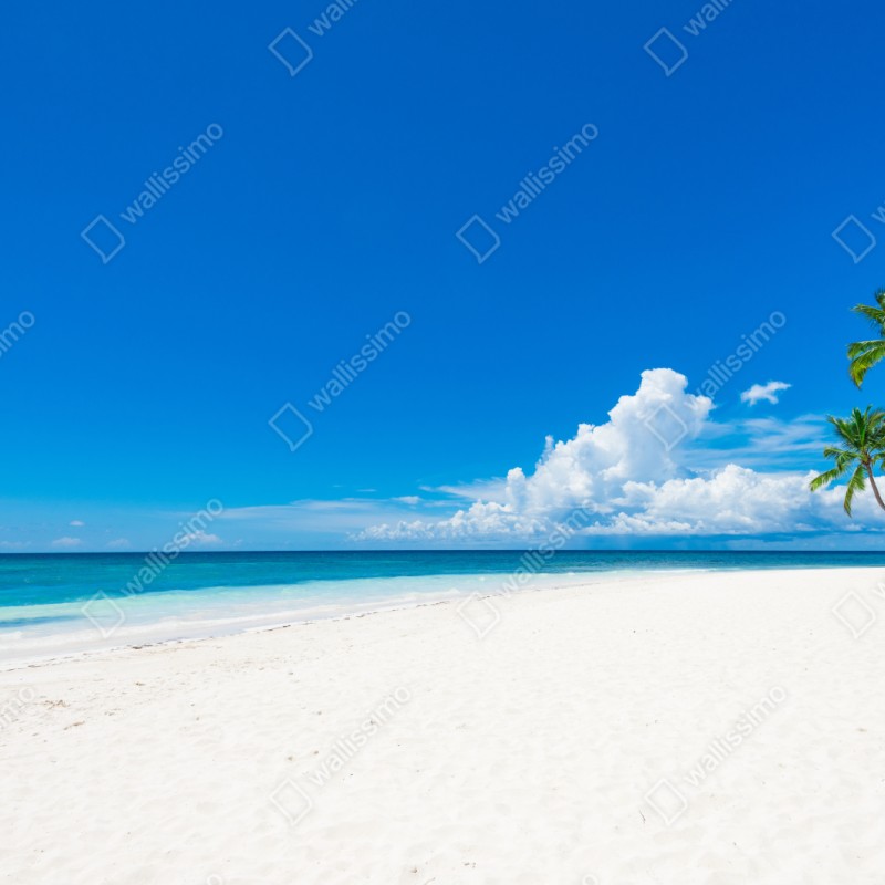 Repositionierbarer Aufkleber tropischer strand mit palmen – Wallnifity® Repositionierbarer Aufkleber tropischer strand mit palmen – Wallnifity®
