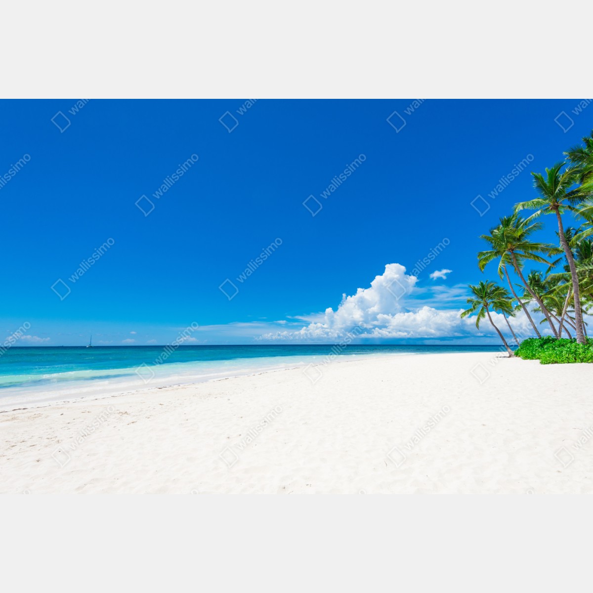 Repositionierbarer Aufkleber tropischer strand mit palmen – Wallnifity® Repositionierbarer Aufkleber tropischer strand mit palmen – Wallnifity®