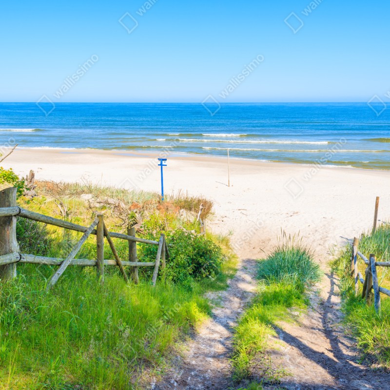 Repositionierbarer Aufkleber weg zum strand der Ostsee – Wallnifity® Repositionierbarer Aufkleber weg zum strand der Ostsee – Wallnifity®
