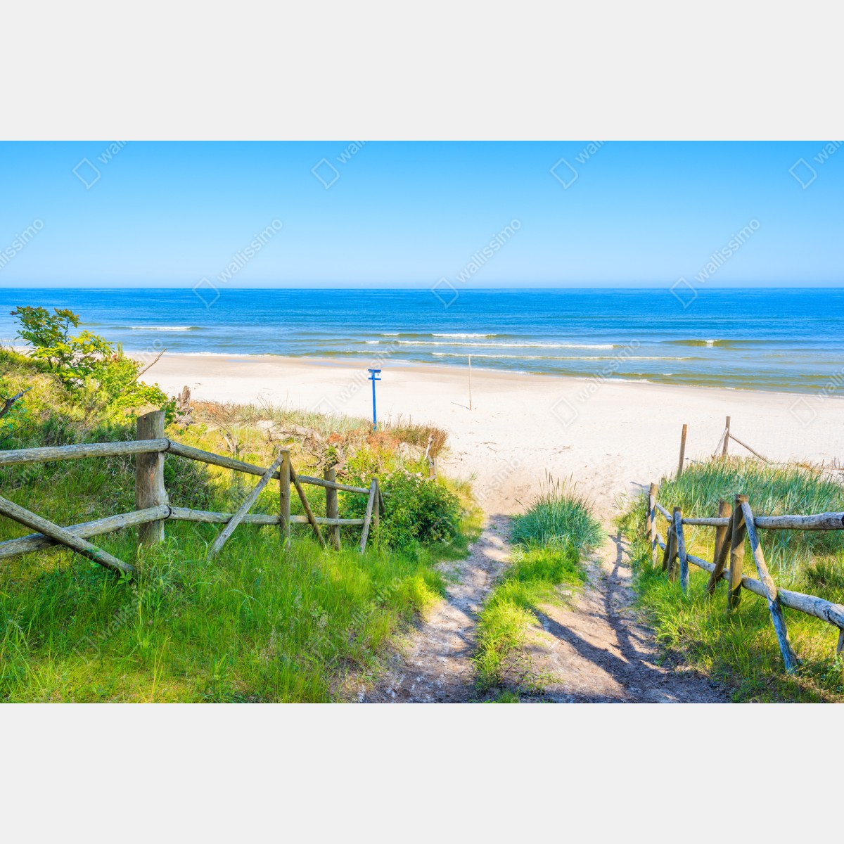 Repositionierbarer Aufkleber weg zum strand der Ostsee – Wallnifity® Repositionierbarer Aufkleber weg zum strand der Ostsee – Wallnifity®