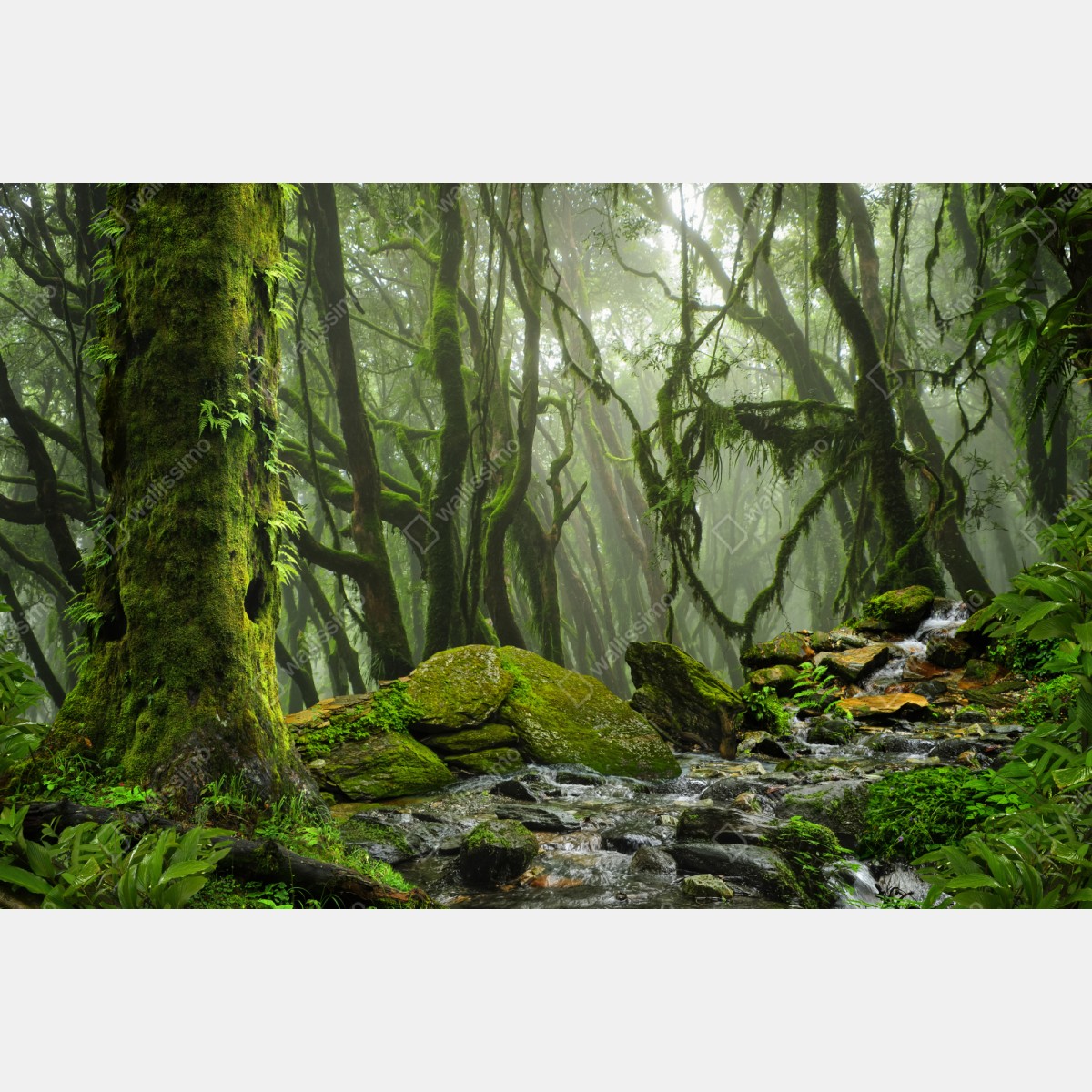 Repositionierbarer Aufkleber moosiger wald mit bach im nebel – Wallnifity® Repositionierbarer Aufkleber moosiger wald mit bach im nebel – Wallnifity®