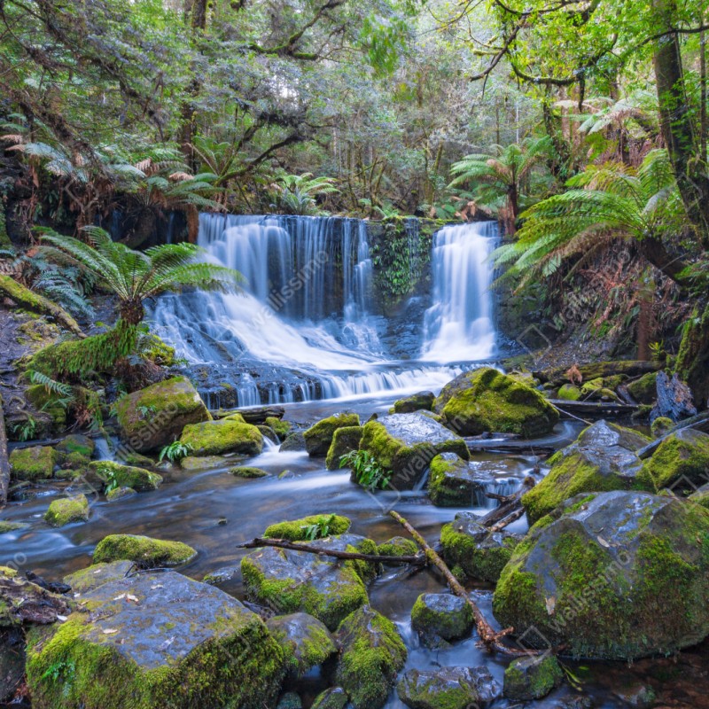 Repositionierbarer Aufkleber friedlicher waldwasserfall – Wallnifity® Repositionierbarer Aufkleber friedlicher waldwasserfall – Wallnifity®