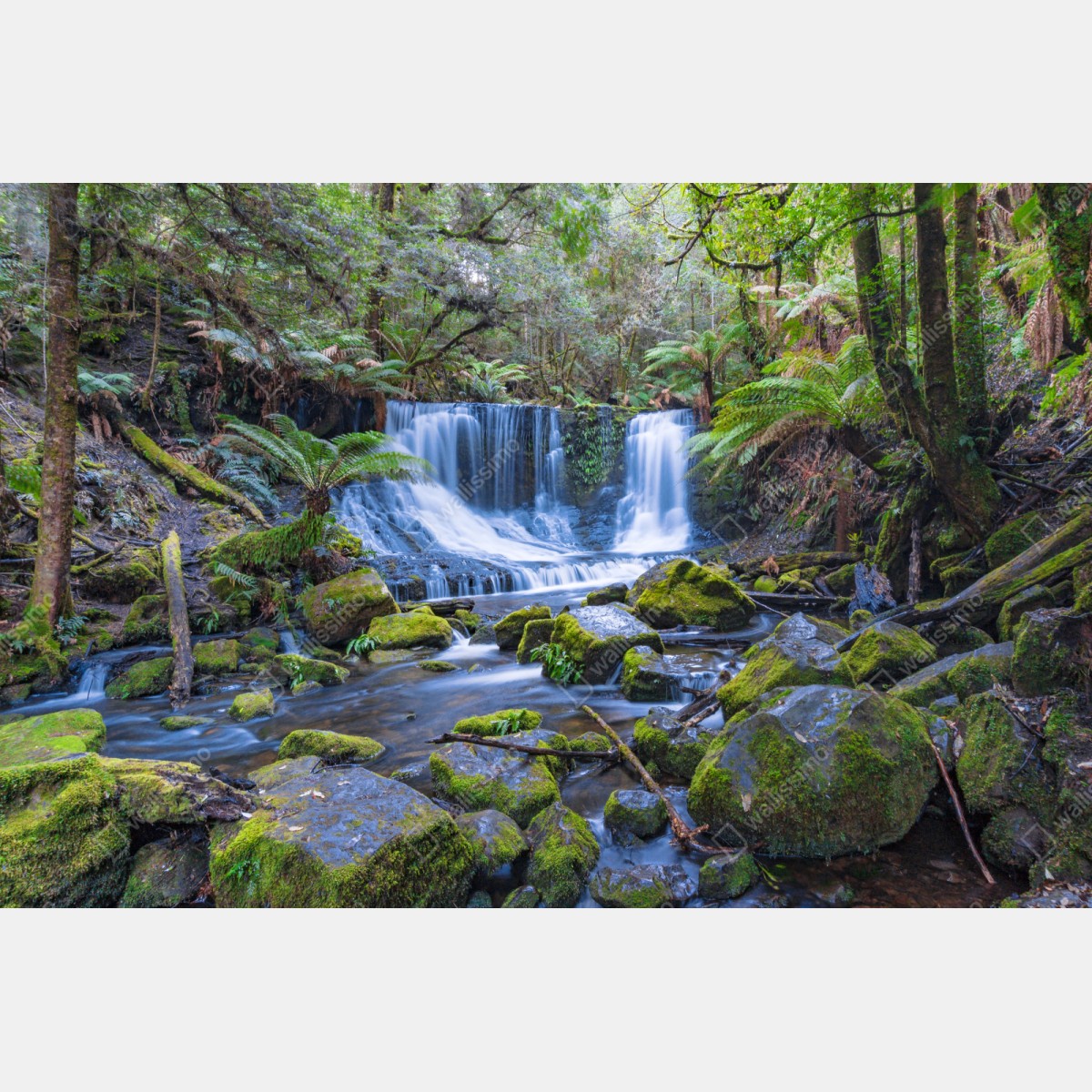 Repositionierbarer Aufkleber friedlicher waldwasserfall – Wallnifity® Repositionierbarer Aufkleber friedlicher waldwasserfall – Wallnifity®
