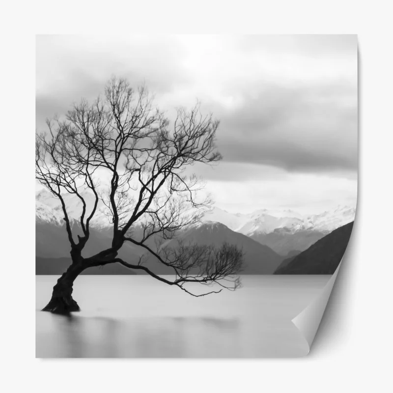 Repositionierbarer Aufkleber einsamer baum im see in schwarzweiß