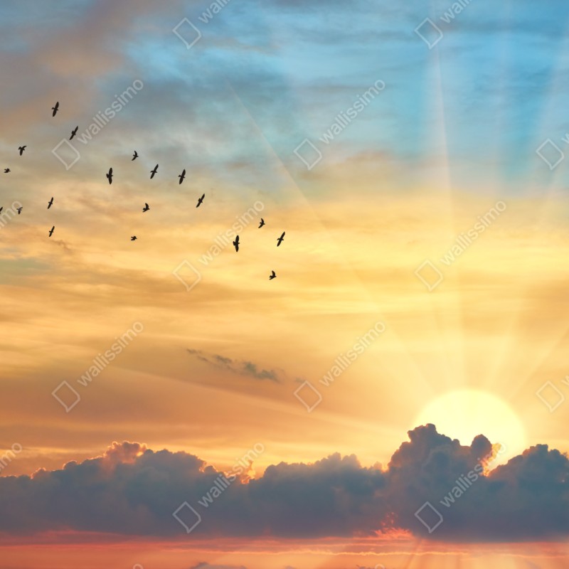 Repositionierbarer Aufkleber goldener sonnenaufgang über den wolken – Wallnifity® Repositionierbarer Aufkleber goldener sonnenaufgang über den wolken – Wallnifity®