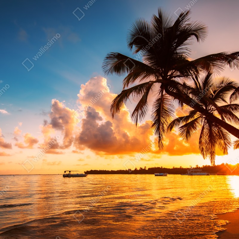 Repositionierbarer Aufkleber tropischer sonnenuntergang mit palmensilhouetten, Dominikanische Republik – Wallnifity® Repositionierbarer Aufkleber tropischer sonnenuntergang mit palmensilhouetten, Dominikanische Republik – Wallnifity®