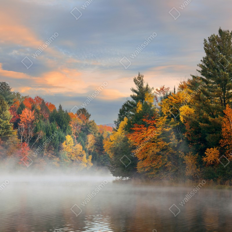 Repositionierbarer Aufkleber nebliger herbstmorgen in Stowe – Wallnifity® Repositionierbarer Aufkleber nebliger herbstmorgen in Stowe – Wallnifity®