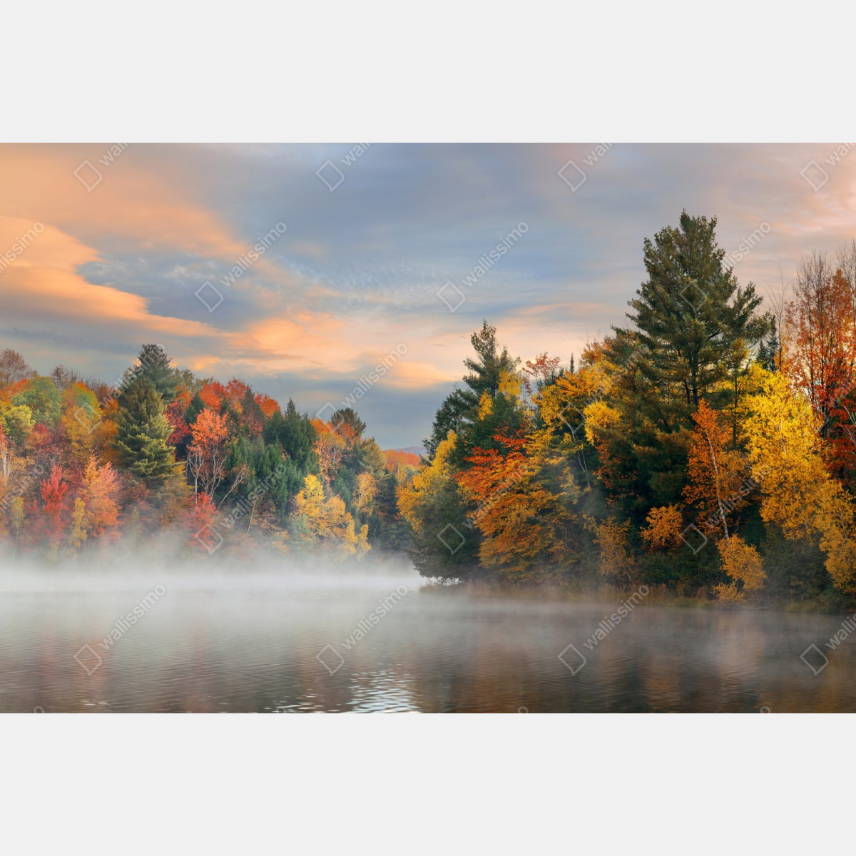 Repositionierbarer Aufkleber nebliger herbstmorgen in Stowe – Wallnifity® Repositionierbarer Aufkleber nebliger herbstmorgen in Stowe – Wallnifity®