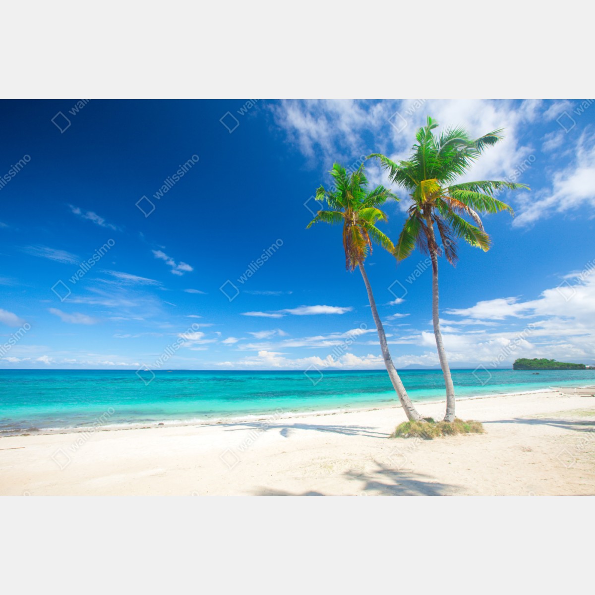 Repositionierbarer Aufkleber tropische palmen an einem türkisfarbenen strand – Wallnifity® Repositionierbarer Aufkleber tropische palmen an einem türkisfarbenen strand – Wallnifity®
