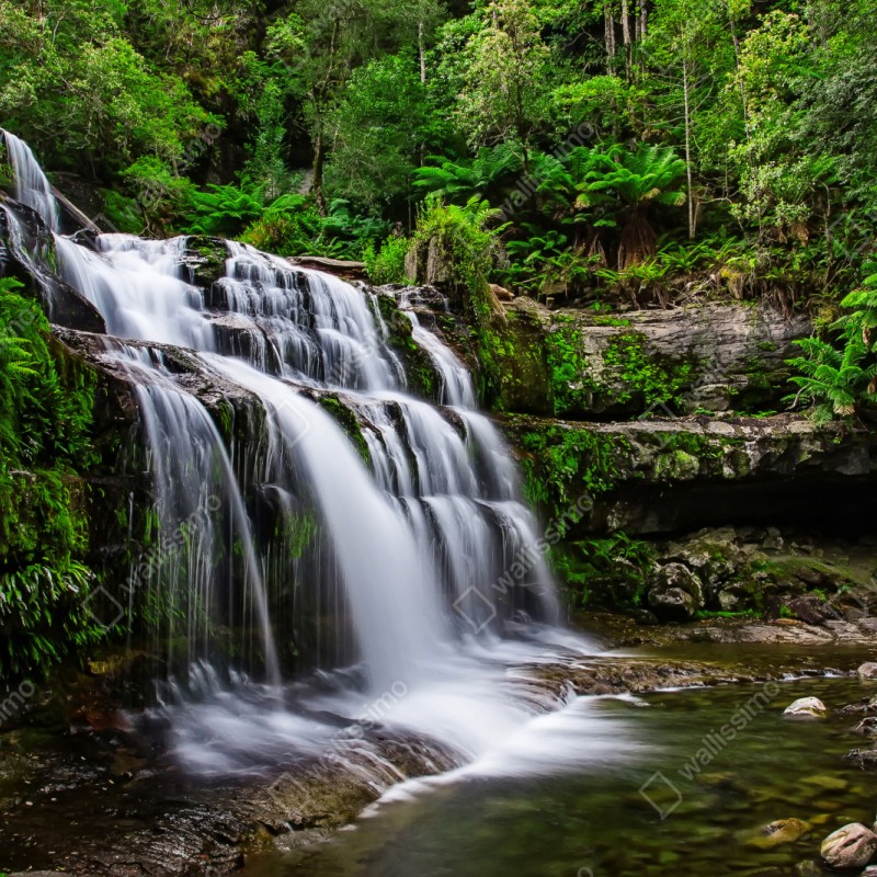 Repositionierbarer Aufkleber wasserfall Liffey Falls im üppigen Regenwald von Tasmanien – Wallnifity® Repositionierbarer Aufkleber wasserfall Liffey Falls im üppigen Regenwald von Tasmanien – Wallnifity®