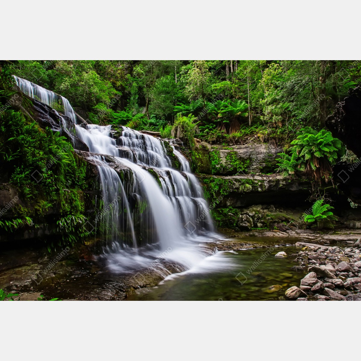 Repositionierbarer Aufkleber wasserfall Liffey Falls im üppigen Regenwald von Tasmanien – Wallnifity® Repositionierbarer Aufkleber wasserfall Liffey Falls im üppigen Regenwald von Tasmanien – Wallnifity®