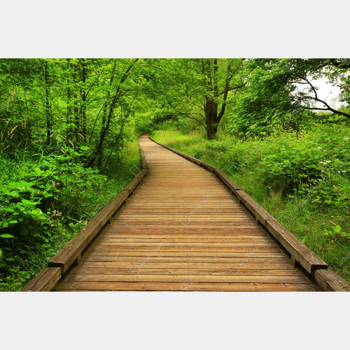 Repositionierbarer Aufkleber ruhiger holzsteg im wald – Wallnifity® Repositionierbarer Aufkleber ruhiger holzsteg im wald – Wallnifity®