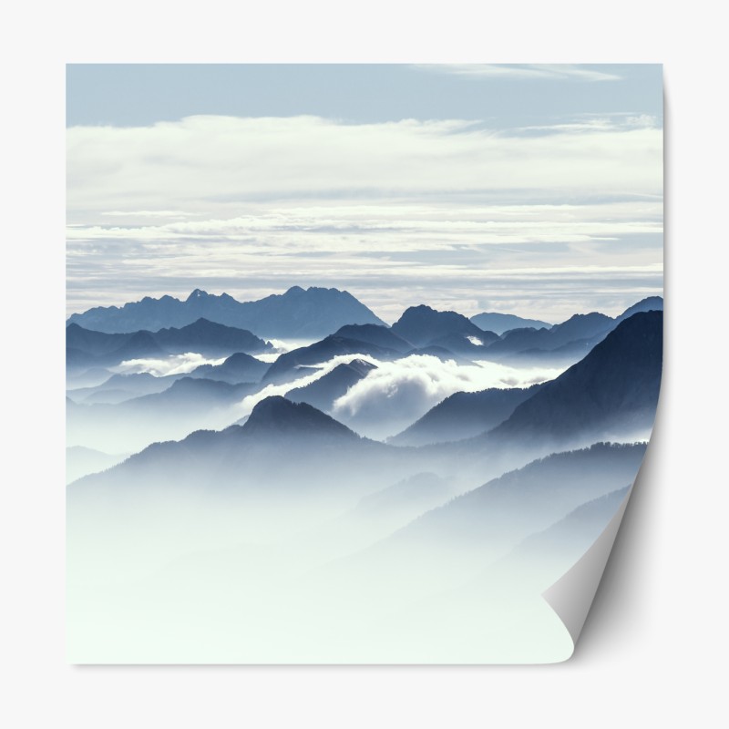 Repositionierbarer Aufkleber nebliger wald in monochrom – Wallnifity®