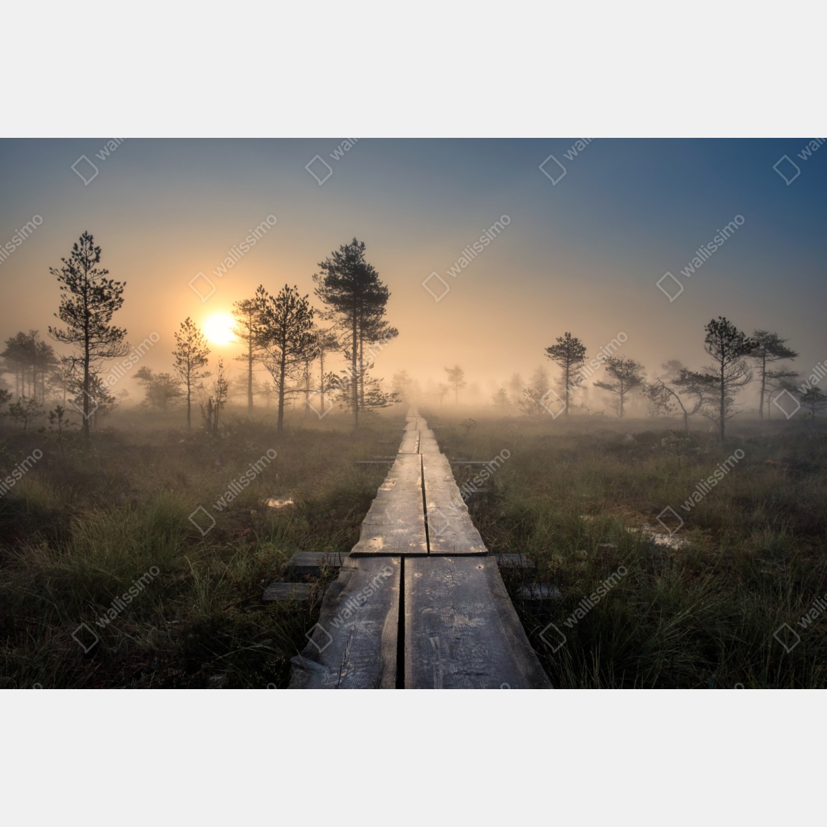 Repositionierbarer Aufkleber nebliger sonnenaufgang über dem holzsteg – Wallnifity® Repositionierbarer Aufkleber nebliger sonnenaufgang über dem holzsteg – Wallnifity®