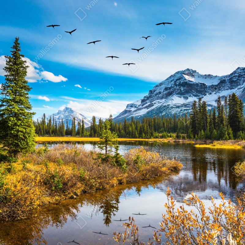 Repositionierbarer Aufkleber herbstlicher bergsee mit vögeln – Wallnifity® Repositionierbarer Aufkleber herbstlicher bergsee mit vögeln – Wallnifity®