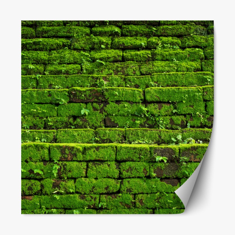 Repositionierbarer Aufkleber elegantes beiges damastmuster – Wallnifity®
