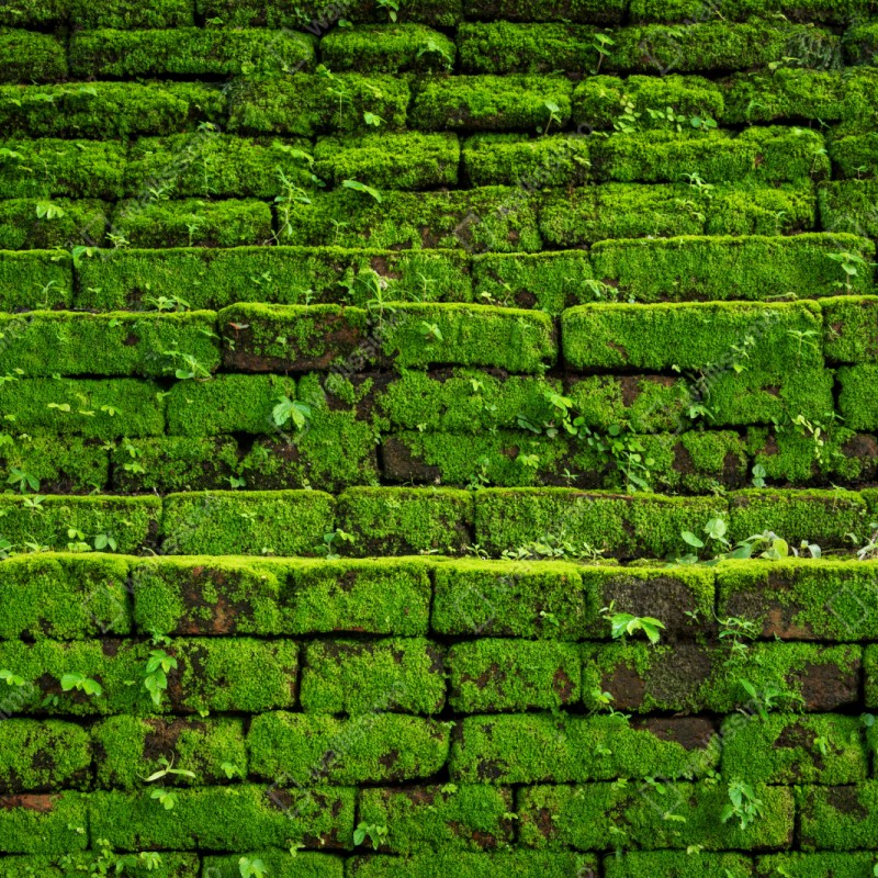 Repositionierbarer Aufkleber üppige moosbedeckte ziegelwand – Wallnifity® Repositionierbarer Aufkleber üppige moosbedeckte ziegelwand – Wallnifity®