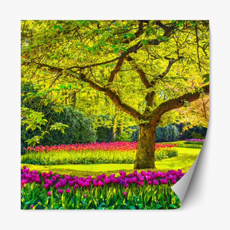 Repositionierbarer Aufkleber leuchtende gelbe sonnenblumen in nahaufnahme – Wallnifity®