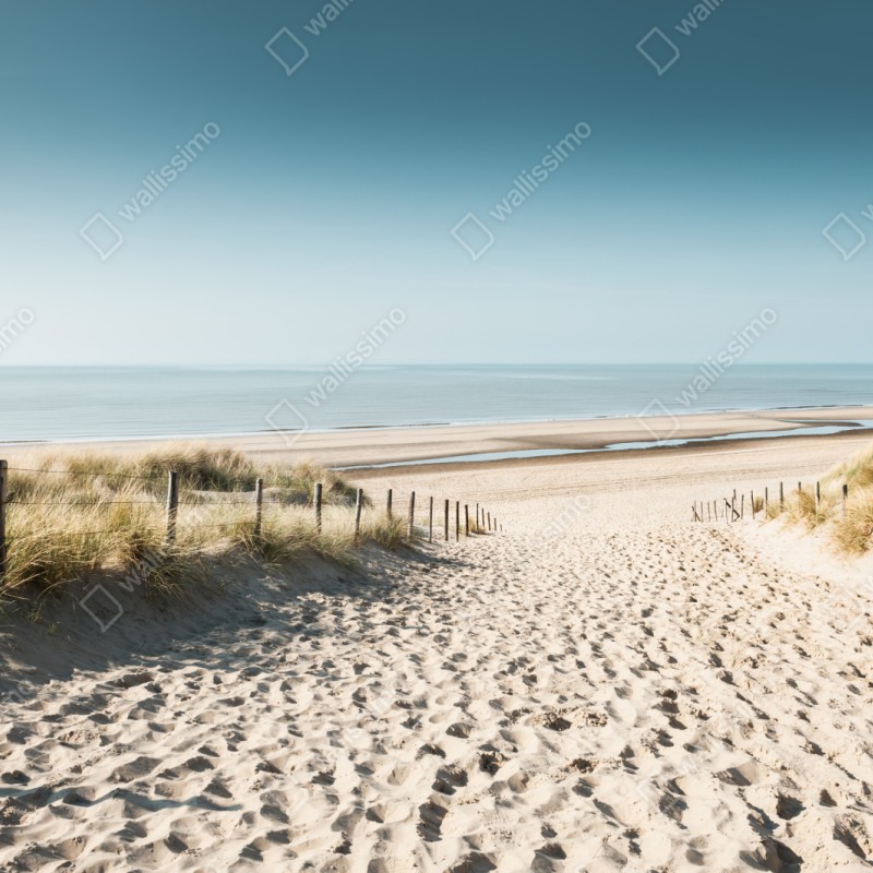 Repositionierbarer Aufkleber sanddünen und ruhige Nordsee bei Noordwijk – Wallnifity® Repositionierbarer Aufkleber sanddünen und ruhige Nordsee bei Noordwijk – Wallnifity®