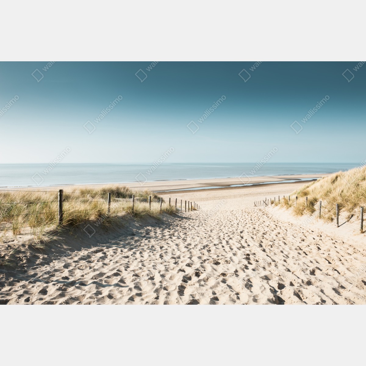 Repositionierbarer Aufkleber sanddünen und ruhige Nordsee bei Noordwijk – Wallnifity® Repositionierbarer Aufkleber sanddünen und ruhige Nordsee bei Noordwijk – Wallnifity®