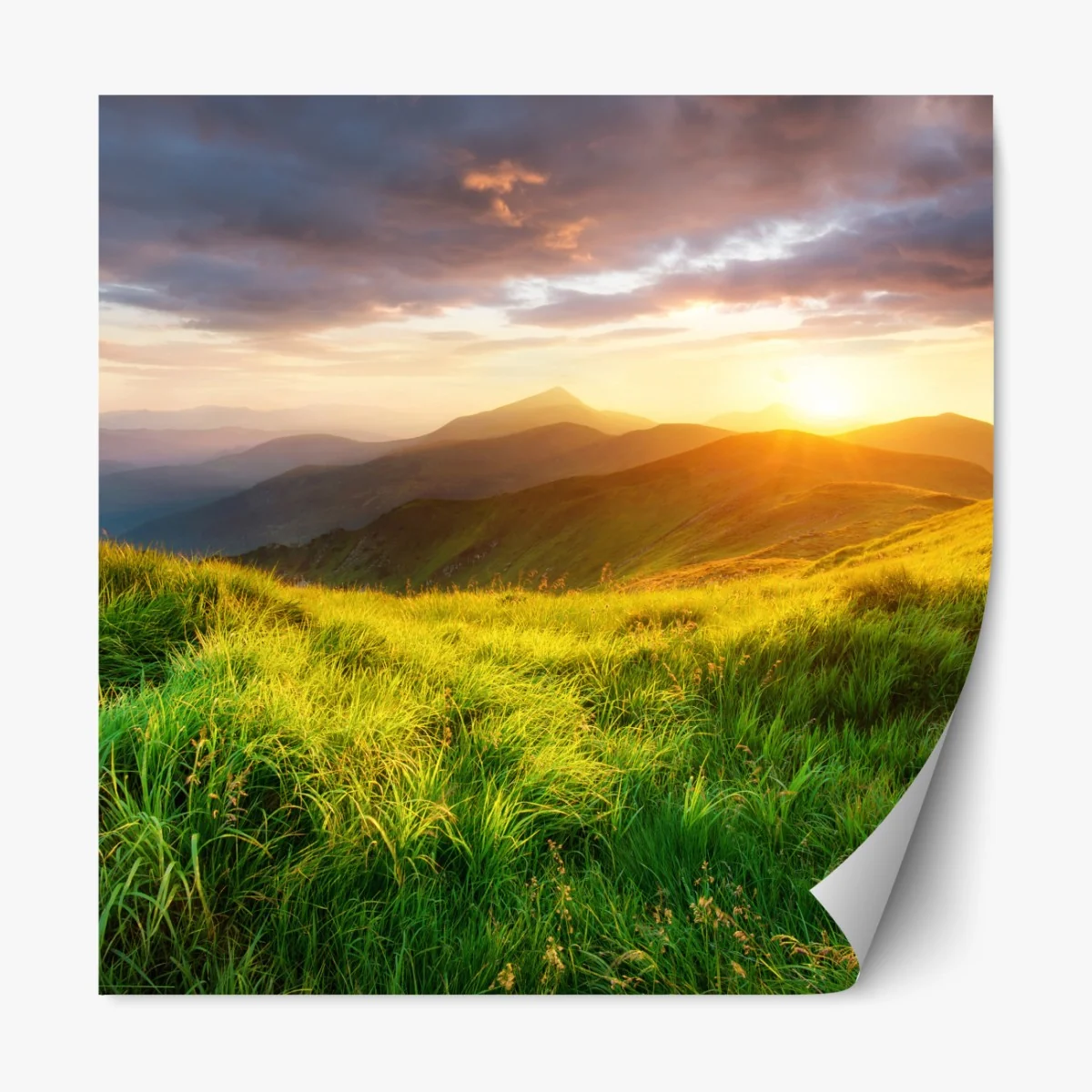 Repositionierbarer Aufkleber sonnige bergwiese bei sonnenaufgang – Wallnifity® Repositionierbarer Aufkleber sonnige bergwiese bei sonnenaufgang – Wallnifity®