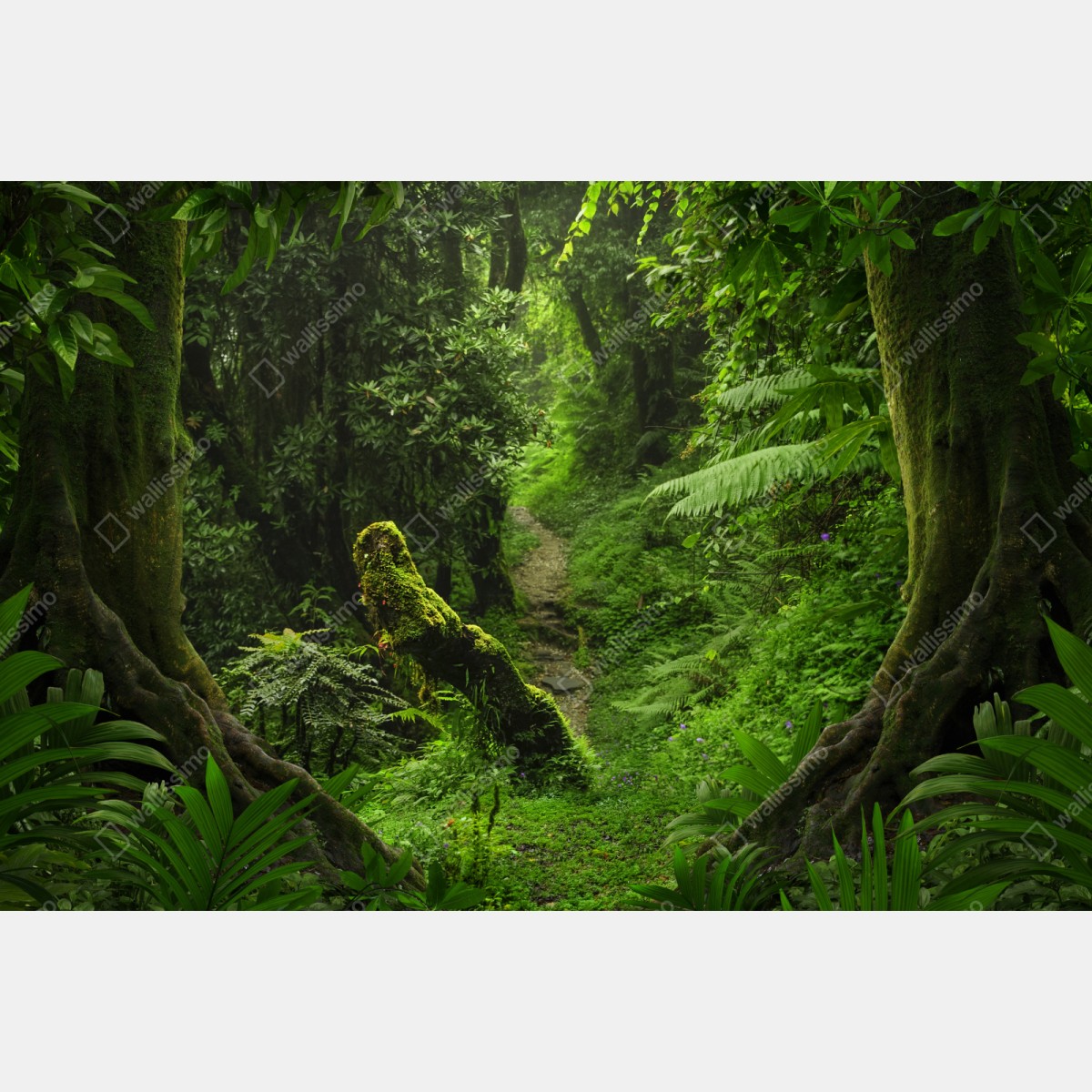 Repositionierbarer Aufkleber verzauberter moosiger waldpfad – Wallnifity® Repositionierbarer Aufkleber verzauberter moosiger waldpfad – Wallnifity®