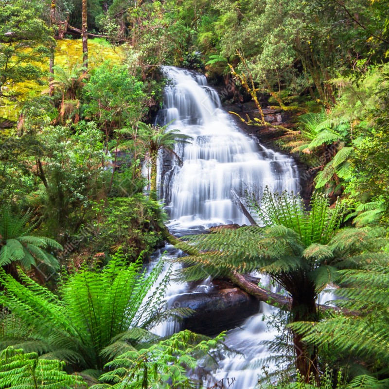 Repositionierbarer Aufkleber Triplet Falls wasserfall im Great Otway National Park – Wallnifity® Repositionierbarer Aufkleber Triplet Falls wasserfall im Great Otway National Park – Wallnifity®