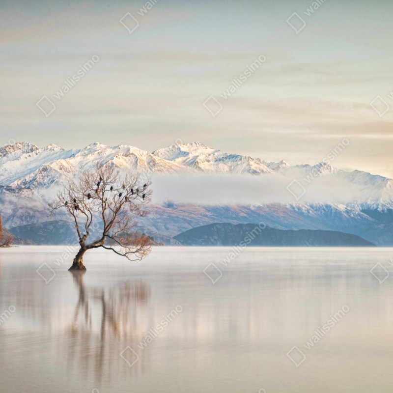 Repositionierbarer Aufkleber einsamer baum am see Wanaka – Wallnifity® Repositionierbarer Aufkleber einsamer baum am see Wanaka – Wallnifity®