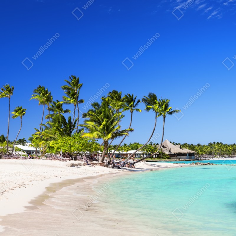 Repositionierbarer Aufkleber tropischer strand in Cap Cana – Wallnifity® Repositionierbarer Aufkleber tropischer strand in Cap Cana – Wallnifity®
