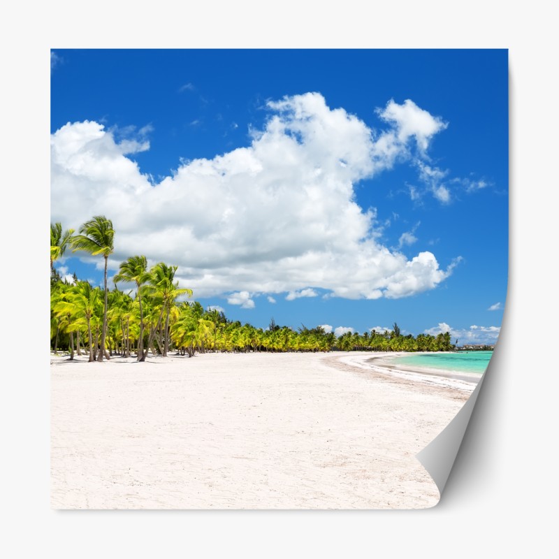 Repositionierbarer Aufkleber tropischer sonnenuntergang am strand – Wallnifity®