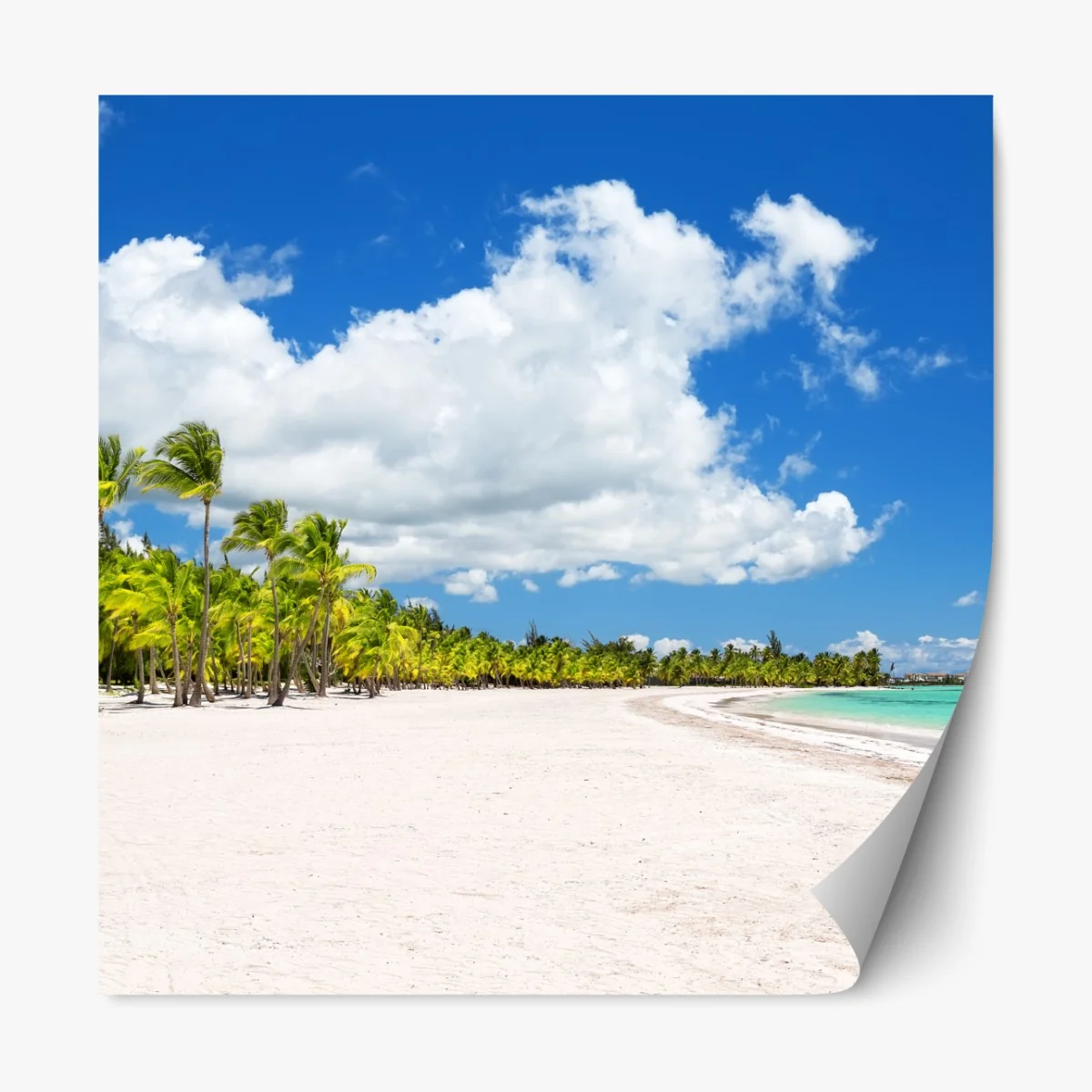 Repositionierbarer Aufkleber tropischer strand in Punta Cana – Wallnifity® Repositionierbarer Aufkleber tropischer strand in Punta Cana – Wallnifity®