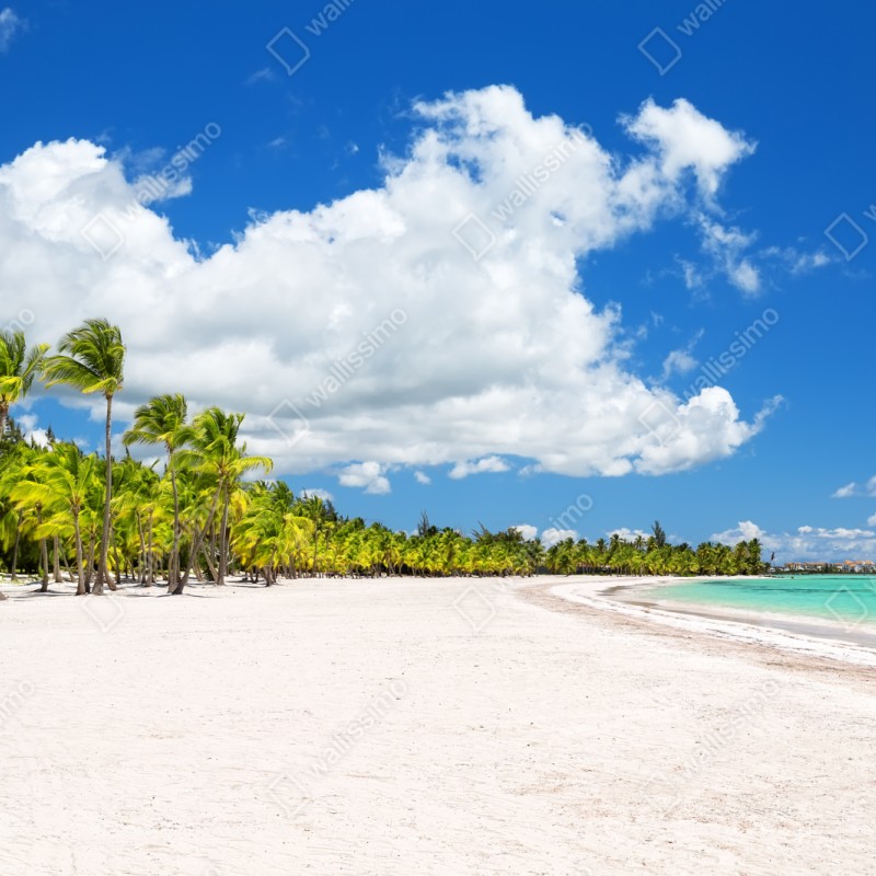 Repositionierbarer Aufkleber tropischer strand in Punta Cana – Wallnifity® Repositionierbarer Aufkleber tropischer strand in Punta Cana – Wallnifity®
