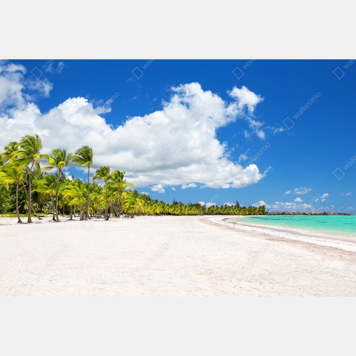 Repositionierbarer Aufkleber tropischer strand in Punta Cana – Wallnifity® Repositionierbarer Aufkleber tropischer strand in Punta Cana – Wallnifity®