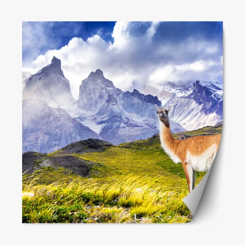 Repositionierbarer Aufkleber Torres del Paine Patagonia landschaft mit guanako