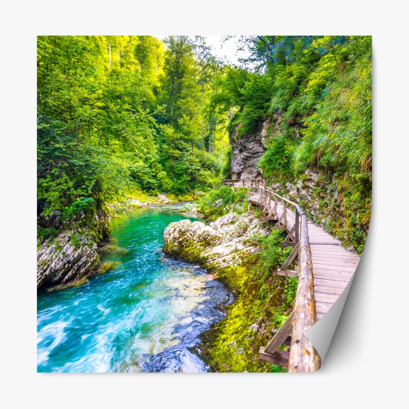 Repositionierbarer Aufkleber farbenfrohe strelitzie aquarell botanisches bild – Wallnifity®