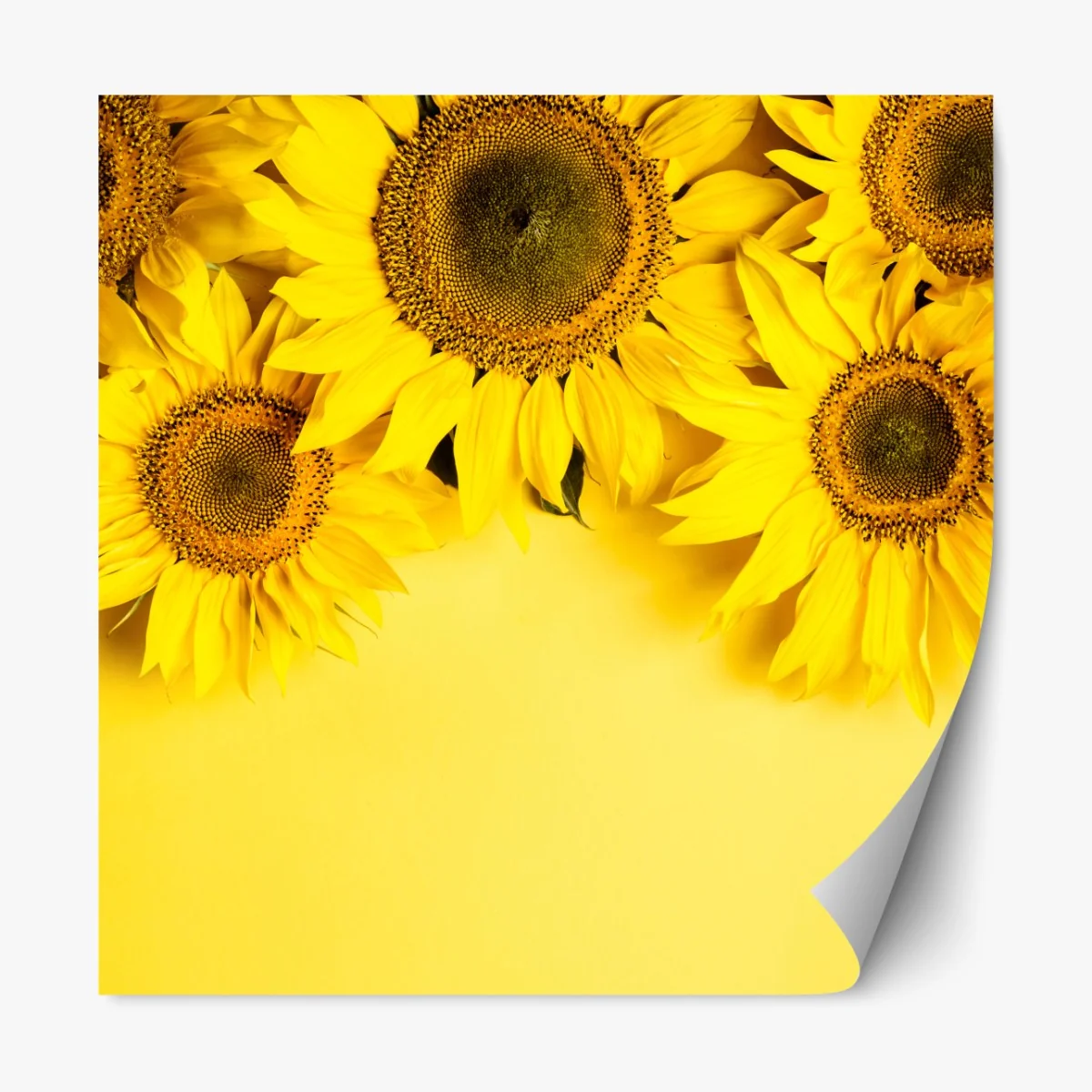 Repositionierbarer Aufkleber leuchtender sonnenblumenstrauß auf gelbem hintergrund – Wallnifity®