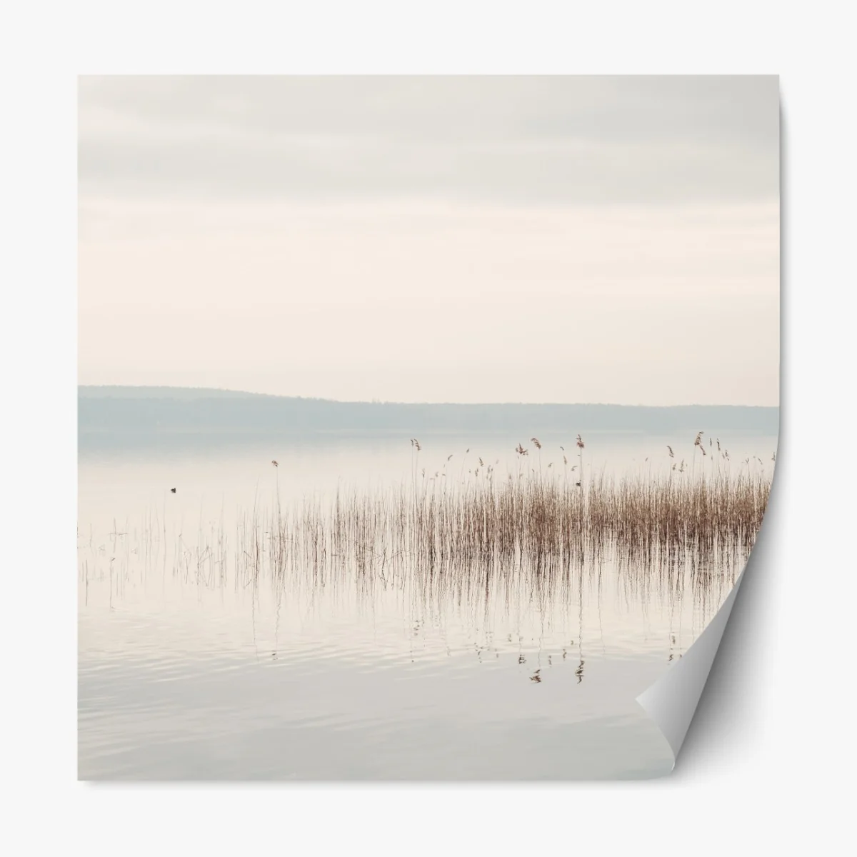 Repositionierbarer Aufkleber ruhige schilfzone am see – Wallnifity® Repositionierbarer Aufkleber ruhige schilfzone am see – Wallnifity®
