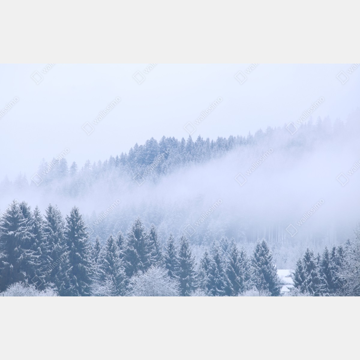 Repositionierbarer Aufkleber winternebel über nadelwald – Wallnifity® Repositionierbarer Aufkleber winternebel über nadelwald – Wallnifity®