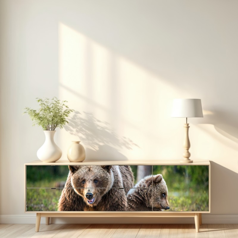 Repositionierbarer Aufkleber braunbär mit jungem im wald – Wallnifity® Repositionierbarer Aufkleber braunbär mit jungem im wald – Wallnifity®