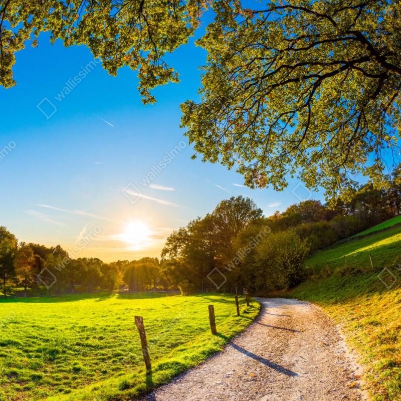 Repositionierbarer Aufkleber sonnenbeschienene wiese mit landweg bei sonnenuntergang – Wallnifity® Repositionierbarer Aufkleber sonnenbeschienene wiese mit landweg bei sonnenuntergang – Wallnifity®