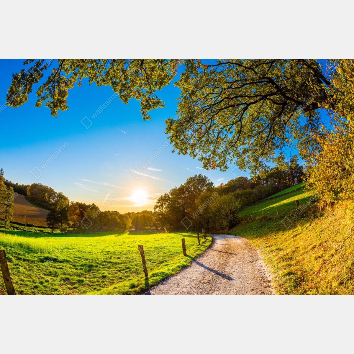 Repositionierbarer Aufkleber sonnenbeschienene wiese mit landweg bei sonnenuntergang – Wallnifity® Repositionierbarer Aufkleber sonnenbeschienene wiese mit landweg bei sonnenuntergang – Wallnifity®